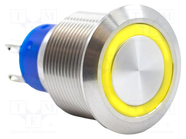 Switch: vandal resistant; Pos: 2; SPDT; 3A/250VAC; IP67; ON-(ON)