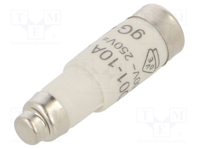 Fuse: fuse; gG,time-lag; 10A; 400VAC; 250VDC; D01