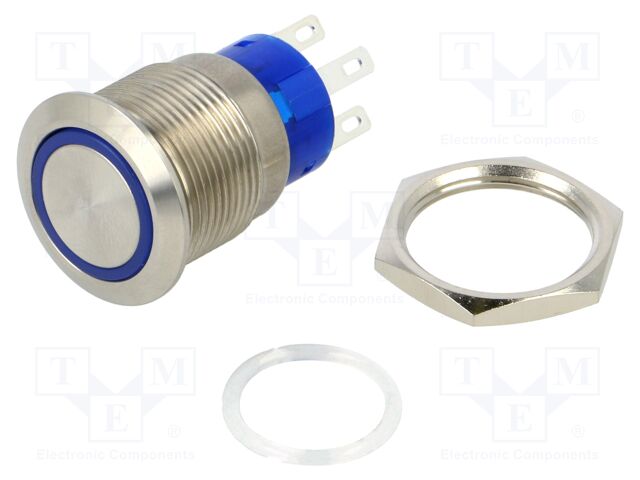 Switch: vandal resistant; Pos: 2; DPST; 3A/250VAC; OFF-(ON); blue