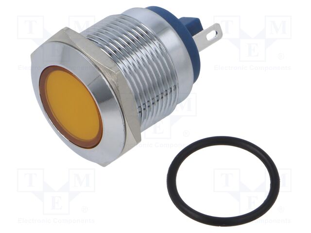 Indicator: LED; flat; 24VDC; 24VAC; Cutout: Ø19mm; brass