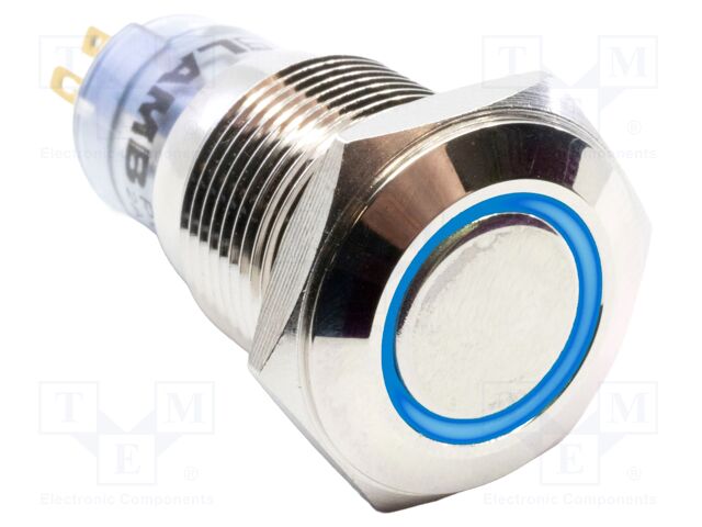 Switch: vandal resistant; Pos: 2; DPDT; 2A/48VDC; IP40; ON-(ON)