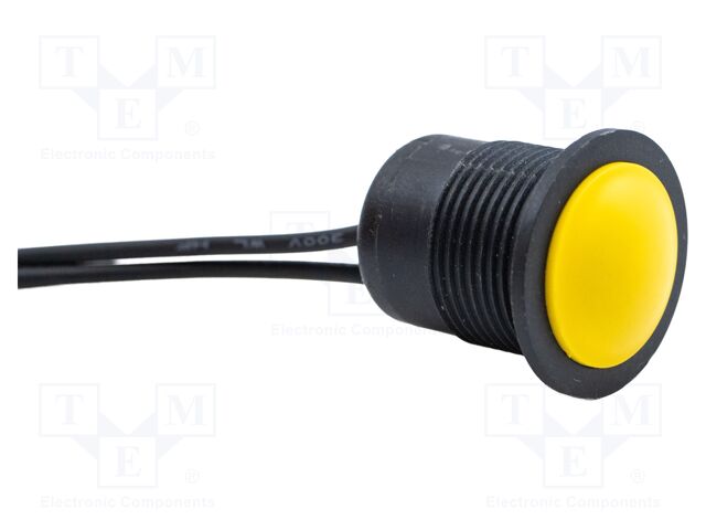 Switch: vandal resistant; Pos: 2; SPST; 2A/24VDC; IP67; ON-(OFF)
