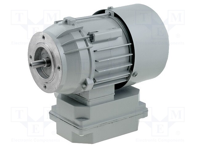 Motor: AC; 1-phase; 230VAC