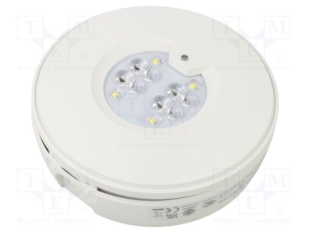 Lamp: LED emergency luminaire