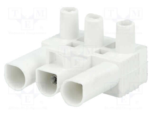 Connector: pluggable terminal block; screw terminal; female