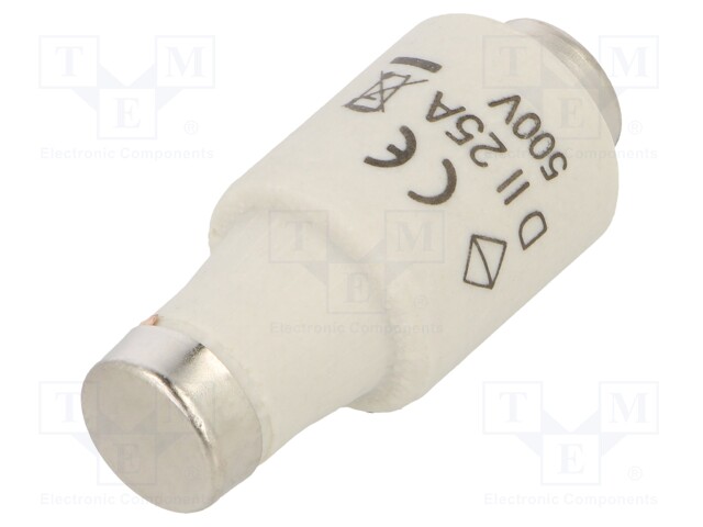 Fuse: fuse; gG,quick blow; 25A; 500VAC; DII