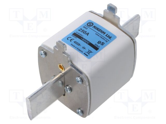 Fuse: fuse; 250A; 800VAC; gS; industrial; NH3