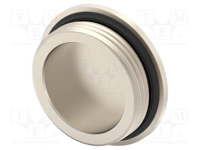 Stopper; brass; IP68; Entrelec; Gland: PG21; 11mm; Thread: PG