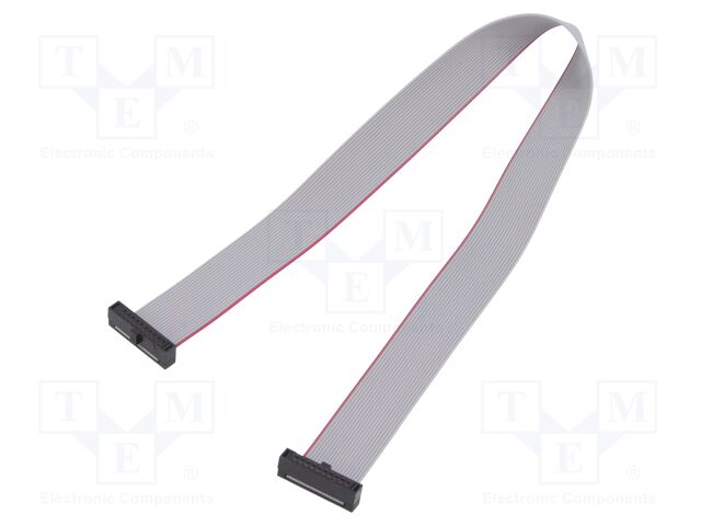 Ribbon cable with IDC connectors; Tape ph: 0.64mm; 254mm