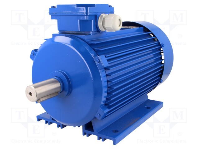 Motor: AC; 2200W; 230/400VAC; 1380rpm; continuous operation S1