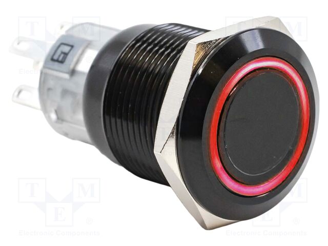 Switch: vandal resistant; SPDT; 2A/24VDC; IP67; ON-(ON); red/green