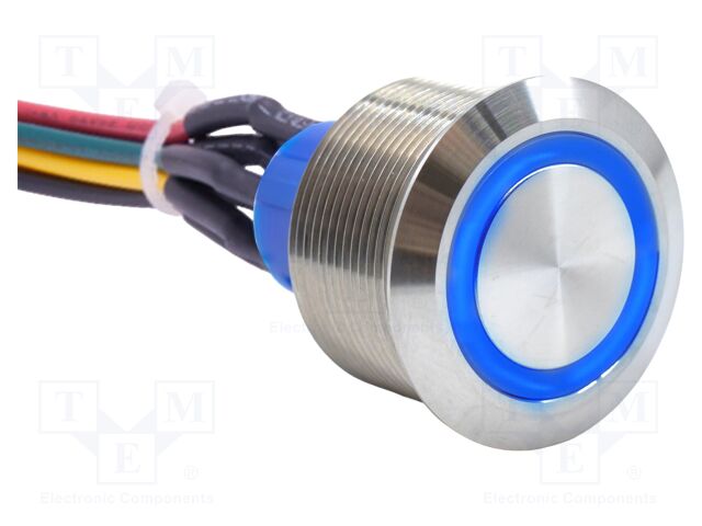 VANDAL SWITCH, DPDT, 3A, 250VAC