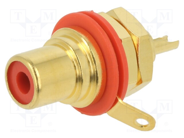 LETTERING PLATE GREEN