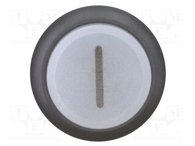 Switch: push-button; Stabl.pos: 1; 22mm; white; IP67; Pos: 2; Ø22.5mm