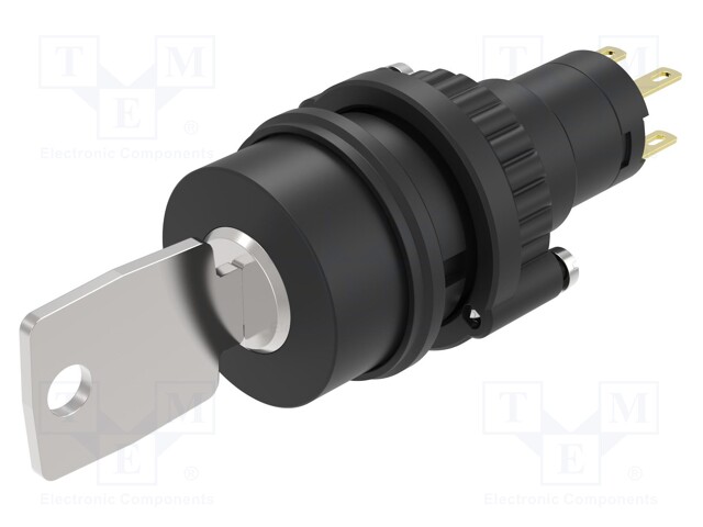 Switch: rotary with key; Stabl.pos: 2; NC + NO; 14; Pos: 2