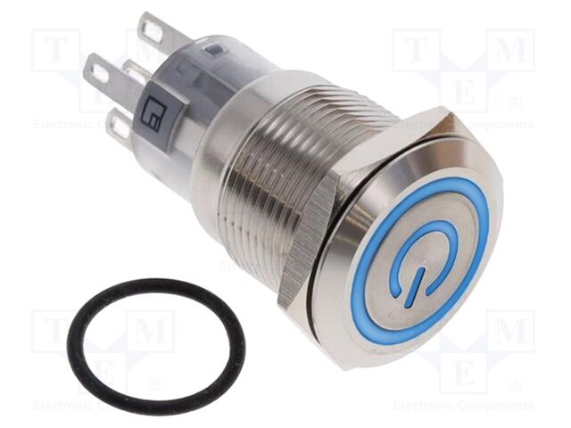 Switch: vandal resistant; SPDT; 2A/24VDC; IP67; ON-(ON); blue; PV4