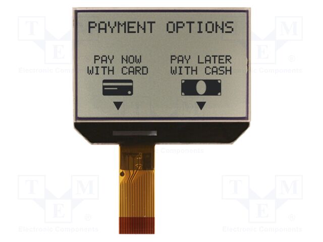 Display: LCD; 160x100; FSTN Positive; grey; 51.5x31.7x2.1mm; 3V