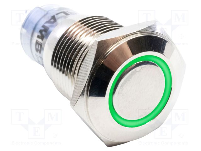 Switch: vandal resistant; Pos: 2; DPDT; 2A/48VDC; IP40; ON-(ON)