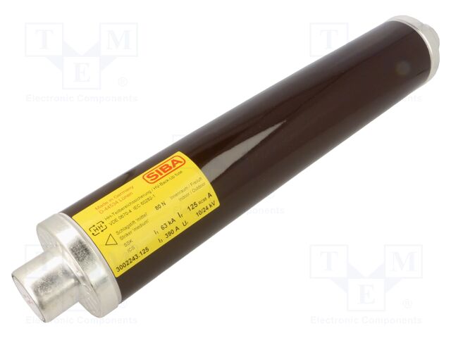 Fuse: fuse; 125A; 10kV; ceramic,cylindrical,industrial