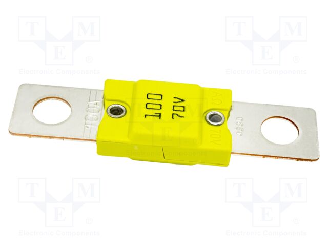 Fuse: fuse; 100A; 70VDC; automotive; 68mm; M8 screw; 68x16mm