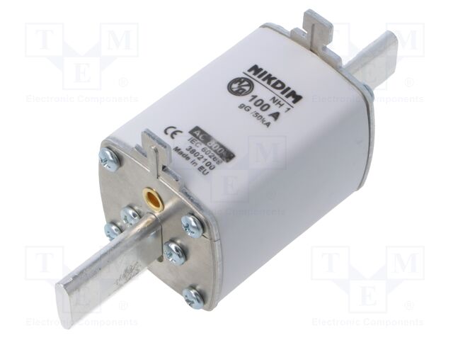 Fuse: fuse; gG; 100A; 800VAC; industrial; NH1