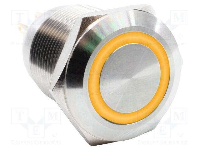 Switch: vandal resistant; SPST-NO + SPST-NC; 2A/24VDC; IP67; 24V