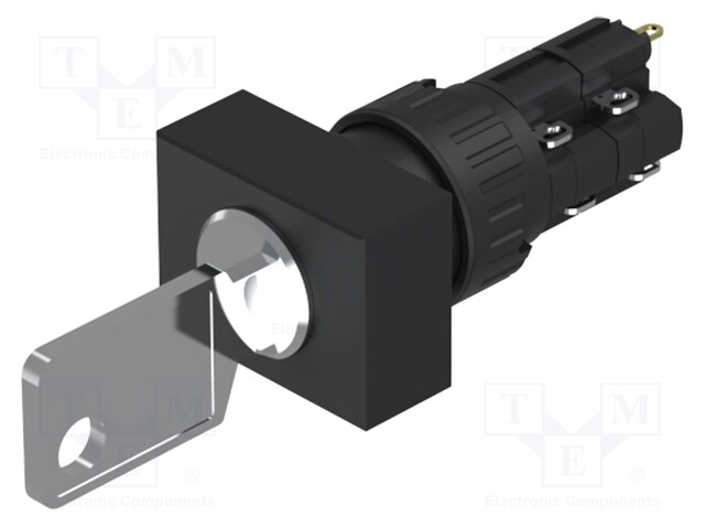 Switch: rotary with key; Stabl.pos: 1; NC x2 + NO x2; Pos: 2; 51