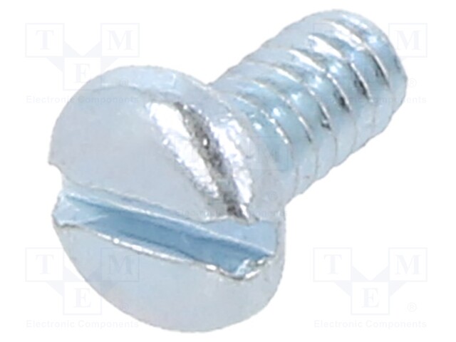 Screw; Head: cheese head; slotted; steel; zinc