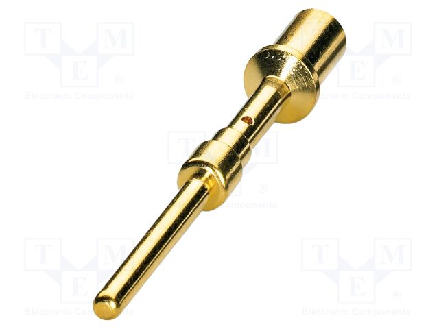 Contact; male; CuZn; gold-plated; crimped