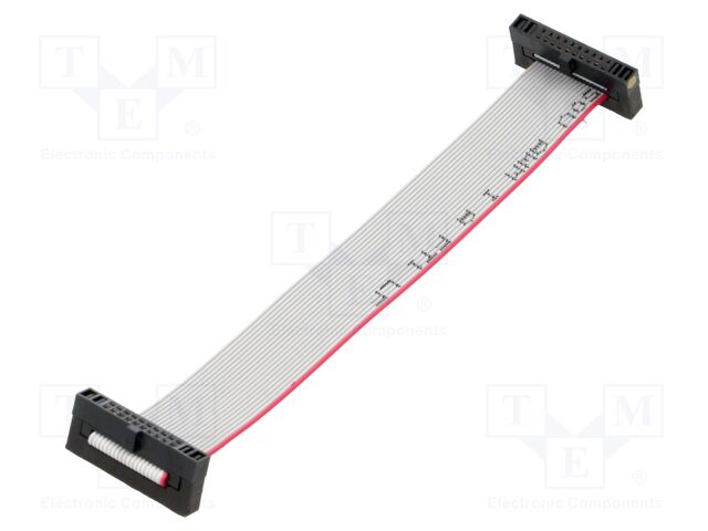 Ribbon cable with IDC connectors; Tape ph: 0.64mm; 101.6mm