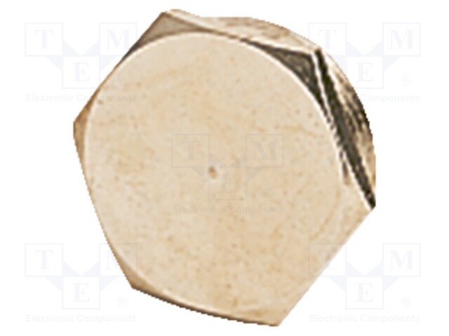 Protection cap; PG21; IP68; Mat: metal