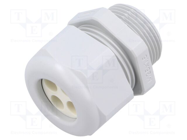 Cable gland
