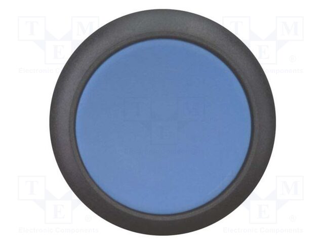 Switch: push-button; Stabl.pos: 2; 22mm; blue; Illumin: none; IP67