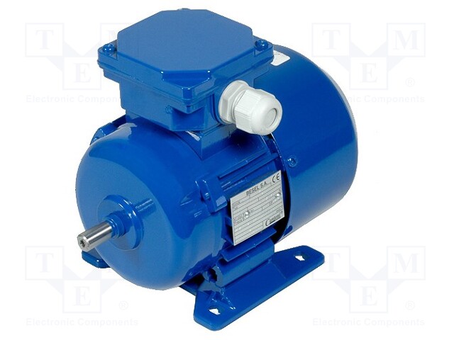 Motor: AC; 3-phase; 0.12kW; 1380rpm; continuous operation S1; IP54