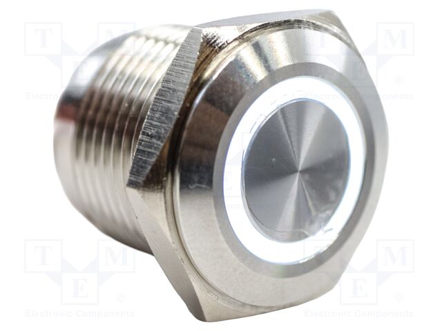 Switch: vandal resistant; Pos: 2; SPST-NO; 2A/48VDC; IP65; OFF-(ON)