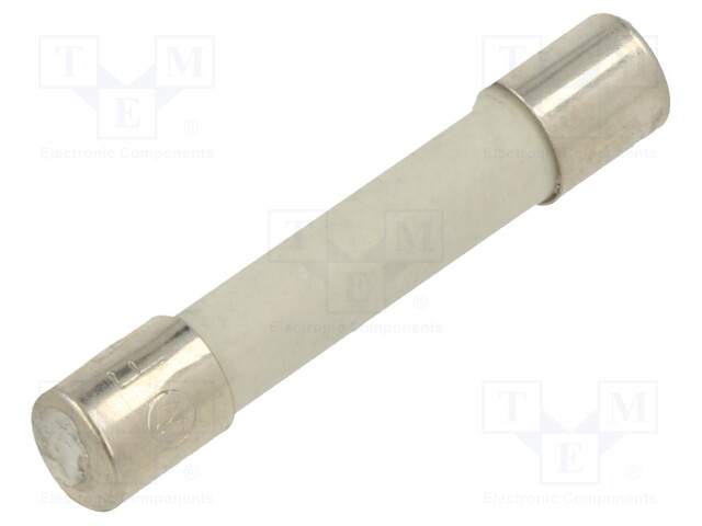 Fuse; 4A; 500V; Ø250umx1.25mm