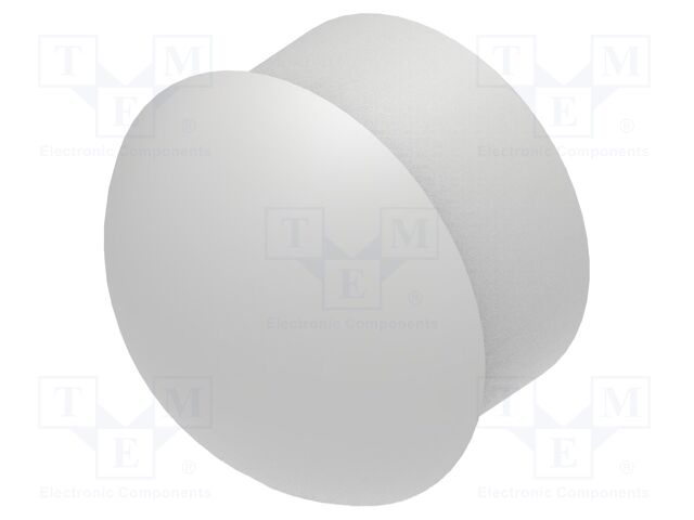 Stopper; polyamide; light grey; L: 22.5mm; -20÷100°C; Entrelec