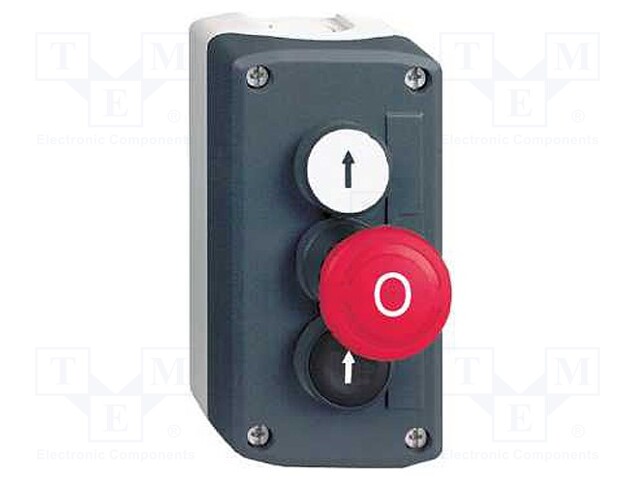 Control Station, 2 Flush PB/1 Mushroom Head, SPST, 3 Position