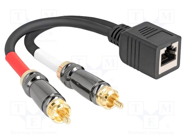 Adapter; RCA plug x2,RJ45 socket; 0.2m; Plating: gold-plated