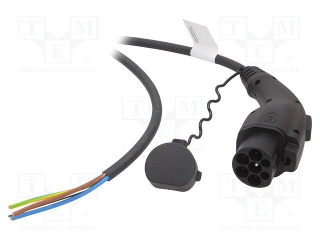 Cable; wires,GB/T; 5m; one-phase; 3x6mm2+1x0,5mm2; 32A; 250V; IP44