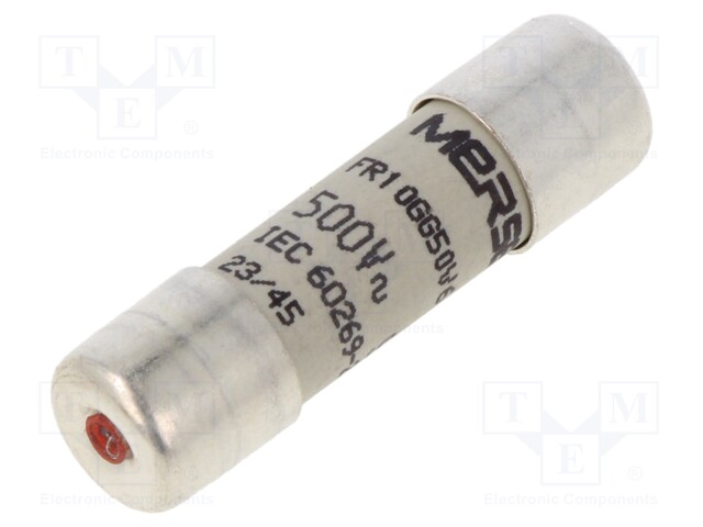 Fuse: fuse; gG,time-lag; 6A; 500VAC; 250VDC; 10x38mm