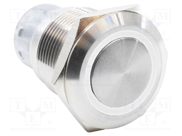 Switch: vandal resistant; DPDT; 2A/24VDC; IP67; ON-(ON); white; 12V