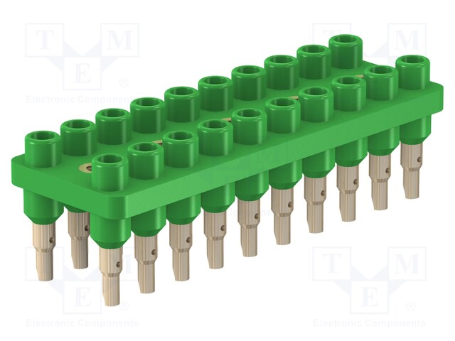 Socket strip; 70VDC; 33VAC; 10A; green; Material: brass; 2mm banana