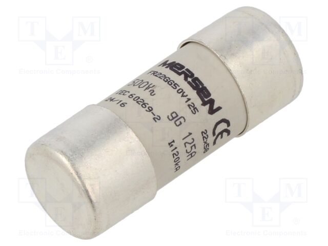 Fuse: fuse; gG; 125A; 500VAC; 250VDC; 22x58mm