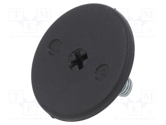 Foot of pin; rigid,with screwdriver slot; Base dia: 40mm; M8