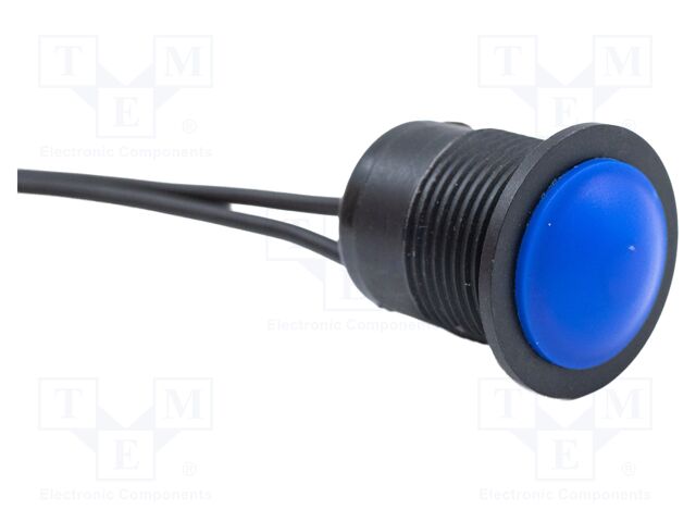 Switch: vandal resistant; Pos: 2; SPST-NO; 12A/250VAC; 2A/24VDC