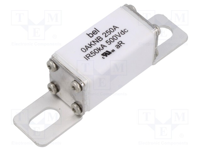 Fuse: fuse; 250A; 500VDC; ceramic