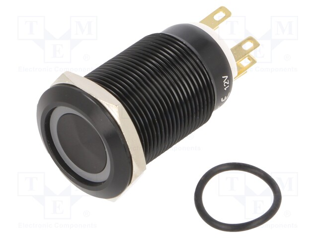 Switch: vandal resistant; Pos: 2; SPDT; 3A/220VAC; 5A/24VDC; IP65