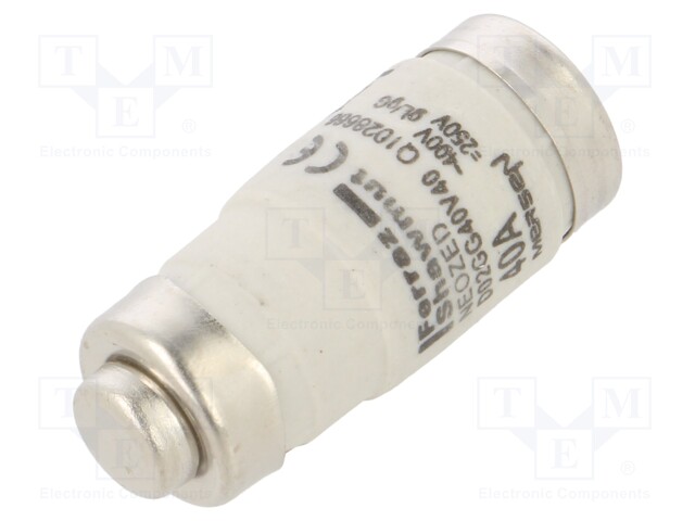 Fuse: fuse; gG; 40A; 400VAC; 250VDC; industrial; D02