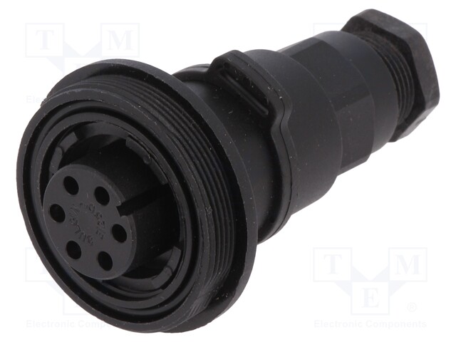 Connector: circular; plug; female; PIN: 6; Buccaneer Standard; IP68